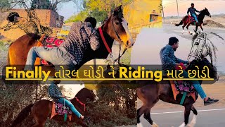 Finally તોરલ ઘોડી ને Riding માટે છોડી || ઘોડી ને કેવી રીતે Riding કરવી || ઘોડી રેવાલ,બાજોટ,જીનીરેવલ