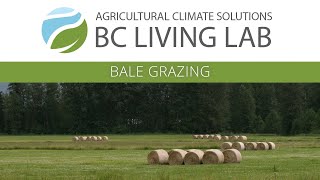 Cattle & Forage Winter Webinar Series: Webinar 2 | BC Living Lab