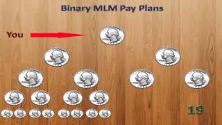 MLM Pay Plans Binary MLM