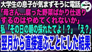 【スカッとする話】一人暮らしの大学生の息子から電話「母さん、腐った野菜の仕送りはいい加減やめてくれ！」私「え、いつもその日の朝採れ野菜よ？！」息子「え？」私は速攻でとある場所へ向かい…