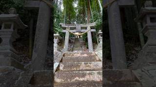 誰も知らない山の神様 #冬 #雪 #神社 #田舎の風景 #ノスタルジー #일본풍경 #시골 #夏目友人帳 #japan #nostalgic #countryside #vibes #anime