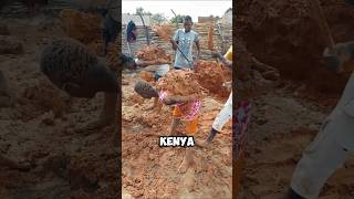 Why do Houses in Kenya not Collapse in Earthquakes 🤯 #shorts