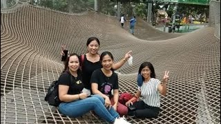 MANULIFE SKY NETS WALKING      | CONOPY OARK | JEWEL CHANGI AIRPORT | Singapore