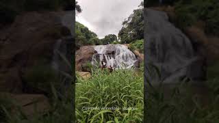 Catherine Waterfalls | Kotagiri Nilgiris | Travelling Nadodi