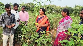 ప్రతి పంటలో ప్రకృతి వ్యవసాయం