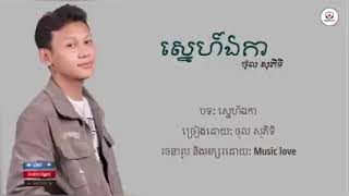 ស្នេហ៍ឯកា   ថុល សុភិទិ  Lyrics Video