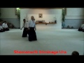 asnj seminar david halprin july 2013 part 1