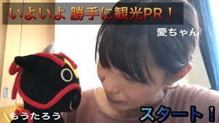 【勝手に観光PR❗️#1】〜広島県 北広島町イメージキャラクター花田舞太郎(もうたろう)とは？〜