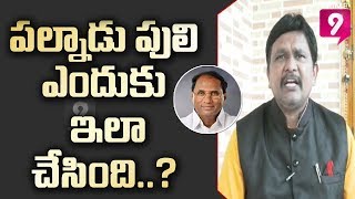 పల్నాడు పులి ఎందుకు ఎలా చేసింది ..?  అంతుచిక్కని ప్రశ్నలెన్నో ..? | Hot Topic with Journalist Sai