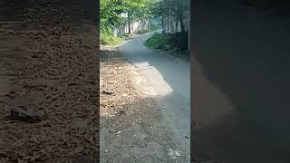 Nikmatnya jalan jalan di pedesaan #kampung #alampedesaan #nature #ideas