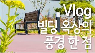 【Vlog / 브이로그】 빌딩 옥상의 풍경 한 점