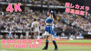 【滝谷美夢】みゆの可愛すぎるGO!FIGHTERS!#滝谷美夢 ＃ファイターズガール＃fightersgirl#北海道日本ハムファイターズ