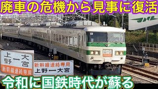 ストライプ塗装とは惜しくも並ばなかったものの昭和の時代にタイムスリップ！懐かしの新幹線リレー号