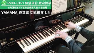 【 YAMAHA頂級演奏型號】U5 小諧星  Edan