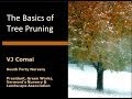 The Basics of Tree Pruning