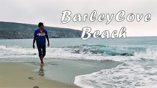 BarleyCove Beach   - West Cork