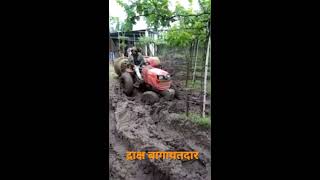 द्राक्ष बागायतदार | Grape farming | शेतकरी स्टेटस | द्राक्ष बाग | नाशिक | शेतकरी status | #status