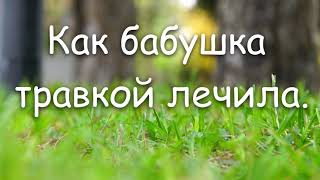 ПЕЧАЛЬНАЯ ИСТОРИЯ КАК БАБУШКА ТРАВКОЙ ЛЕЧИЛА. ОСКАЛЕНКО. А.Н.