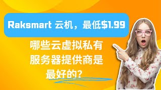 哪些云虚拟私有服务器提供商是最好的？ - Raksmart VPS最低仅需0.99美元