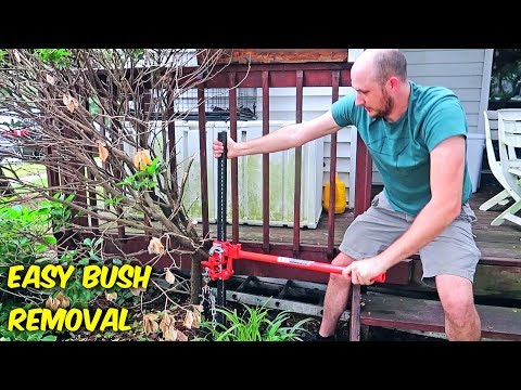 Easiest Way to Remove Bush Stumps! Easiest Way to Remove Bush Stumps!