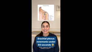 Memorize the Brachial Plexus