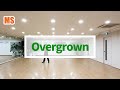 Overgrown Line Dance by Fred Whitehouse 2025