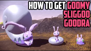 How to Catch Goomy, Sliggoo AND Goodra EARLY! - Pokémon Legends: Arceus