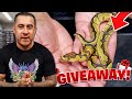 OUR CRAZIEST GIVEAWAY YET!