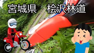 【ゆっくり車載】オフロードバイク　CRF250Lで林道を走ってみた☆宮城県林道☆ツーリング☆CRF250L