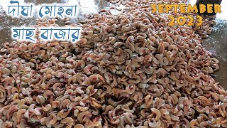 digha mohana fish market || digha fish market price || Red prawn price 2023