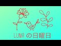 ラブラドールlunaの日曜日