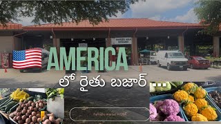 Farmers market in USA 🇺🇸// రైతు బజార్ //Open 7 days in a week//fresh vegetables and fruits