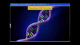 CBSE Class 12 Biology || Process of Recombinant DNA Technol - II