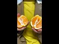 한라봉 까는법 🍊