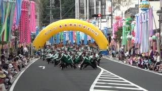 名古屋学生チーム「鯱」　2012　美濃源氏七夕まつり　公園会場