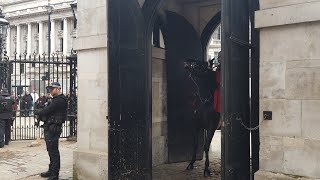 Horse Gets Spooked During Guard Change