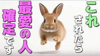 うさぎが心から大好きな飼い主に見せる行動