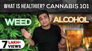 Weed, Alcohol or Coffee - What Is More Harmful? | BeerBiceps Fitness