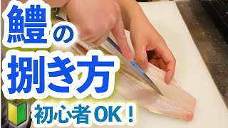 【鱧のさばき方‪初心者必見🔰‪】プロが色んな角度から丁寧に解説。若い板前さん休憩中に見てね！