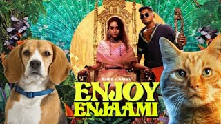 Enjoy Enjaami - Cat and Dog Sing | Aju A'Kay