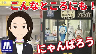 「Metro News」vol.90　本町駅のにゃんばろう