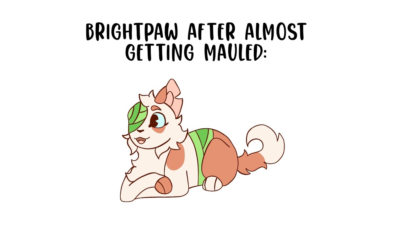 Brightpaw After Almost Getting Mauled - YouTube