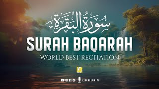 Surah Al Baqarah Full (سورة البقره) Beautiful Voice Heart Touching Quran Recitation | Zikrullah TV