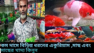 Biggest Aquariums Market in Chittagong || কম দামে মাছের একুরিয়াম এবং সামগ্রী কিনুন || Chittagong