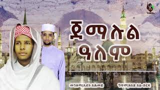 ጀማሉል ዓለም || ኢብኑ አሕመድ || jemalul alem IBNU AHMED @ALFaruqTube