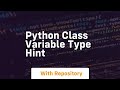python class variable type hint