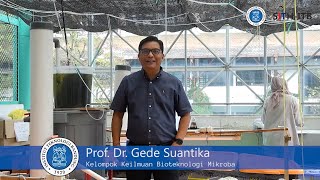 Profil Dosen SITH - Prof. Dr. Gede Suantika