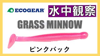 【釣り辞書】エコギア グラスミノーＬ：ワーム水中観察（スローあり）