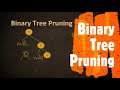 Binary Tree Pruning | LeetCode 814 | Coders Camp