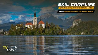 Monstrum z jezera Bled pro Ondru z Exilu | TV FISH CZ-SK | Exil Carplife | Lov kapra